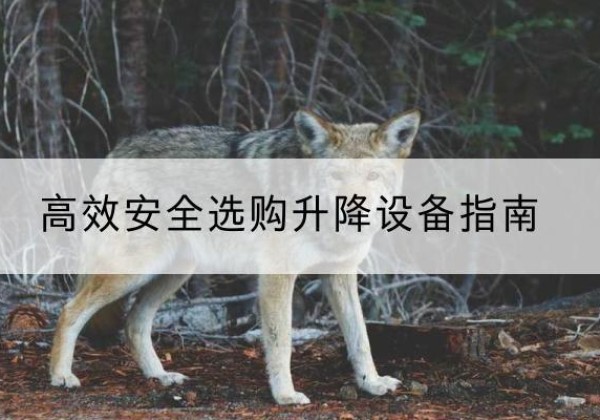 长寿区升降货梯厂家推荐-*安全选购升降设备指南