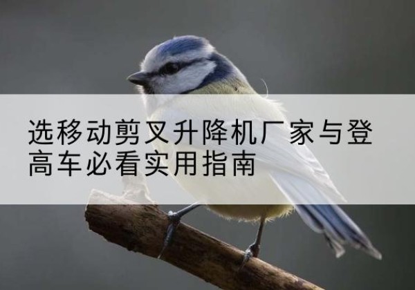 长寿区电动升降机厂家-选移动剪叉升降机厂家与登高车必看实用指南